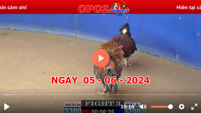 Đá gà CPC2 ngày 05-06-2024