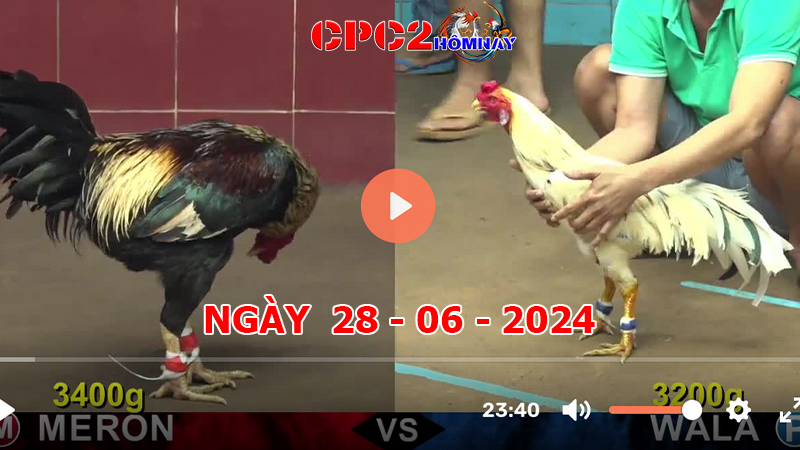 Đá gà CPC2 ngày 28-06-2024