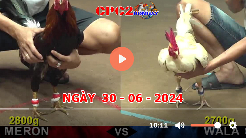 Đá gà CPC2 ngày 30-06-2024