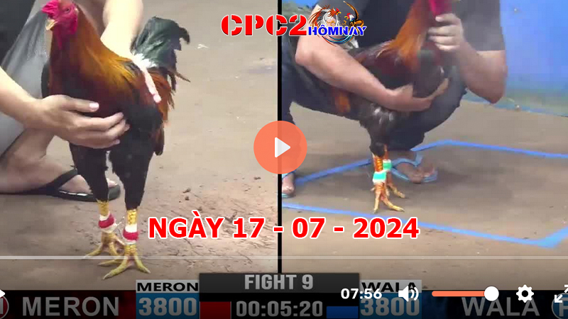 Đá gà CPC2 ngày 17-7-2024