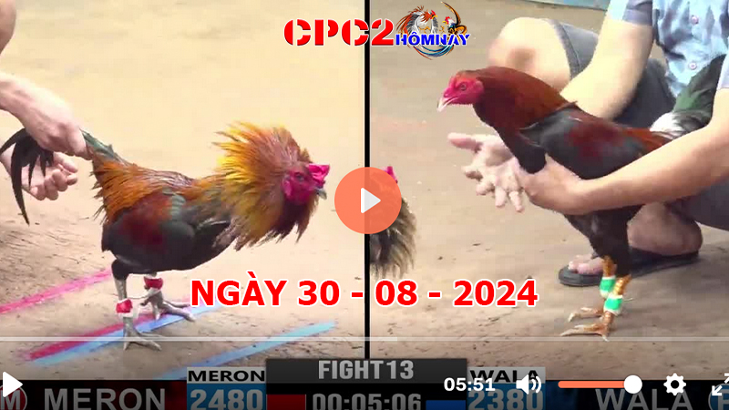 Đá gà CPC2 ngày 30-8-2024