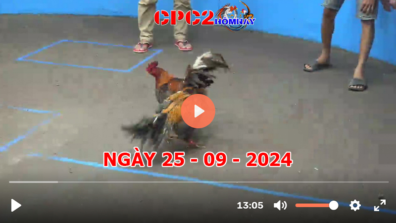 Đá gà CPC2 ngày 25-9-2024